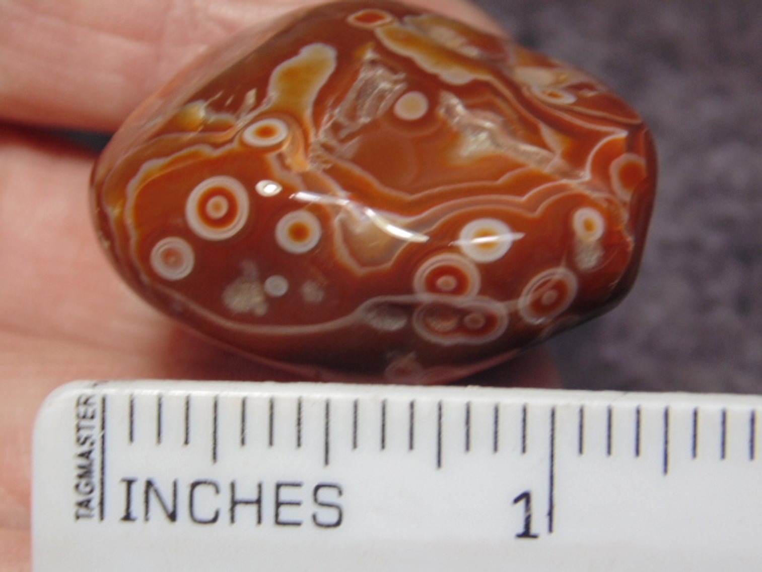 Image for Lapidary: Agates, Fossils, Equipment & More