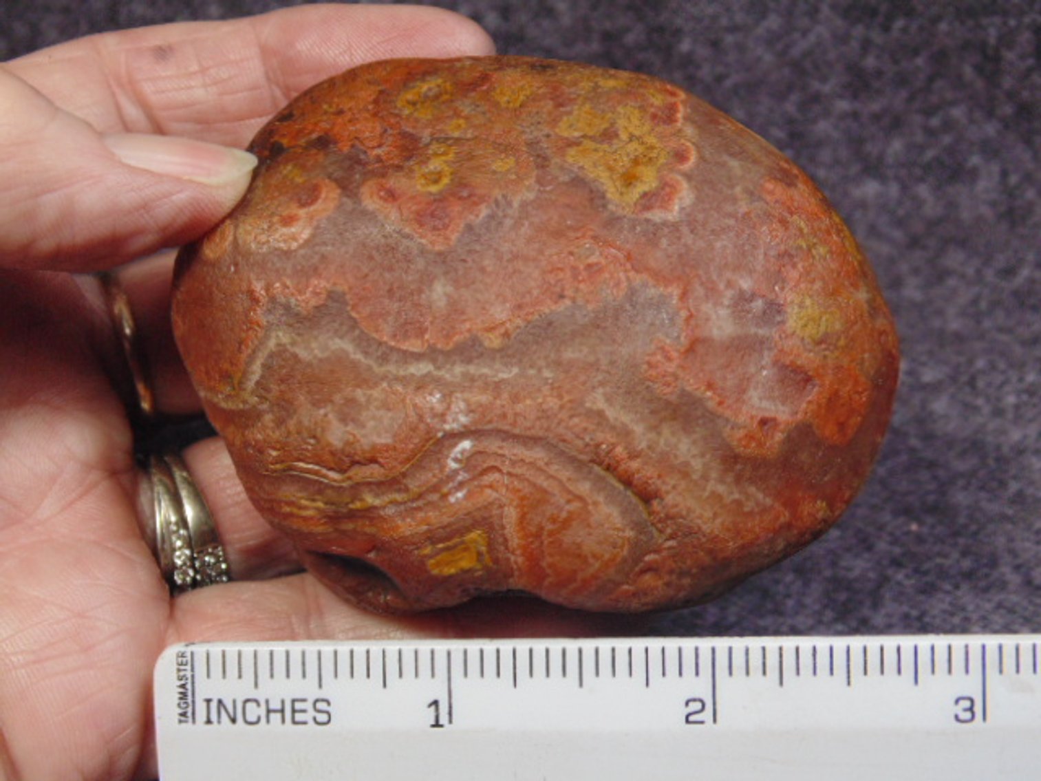 Image for Lapidary: Agates, Fossils, Equipment & More