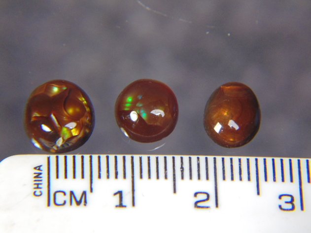 Image for Lapidary: Agates, Fossils & More