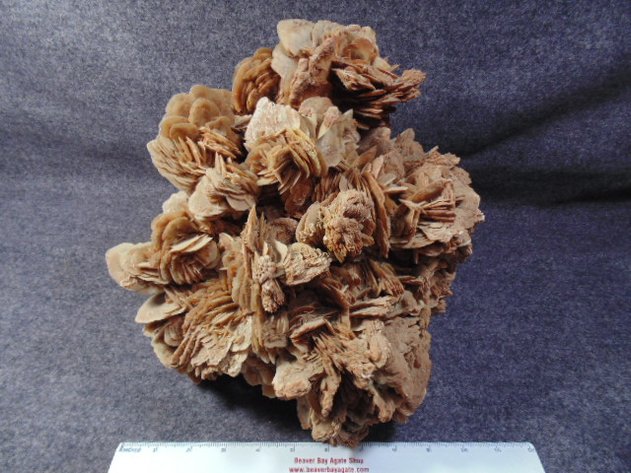 Image for Lapidary: Agates, Fossils & More