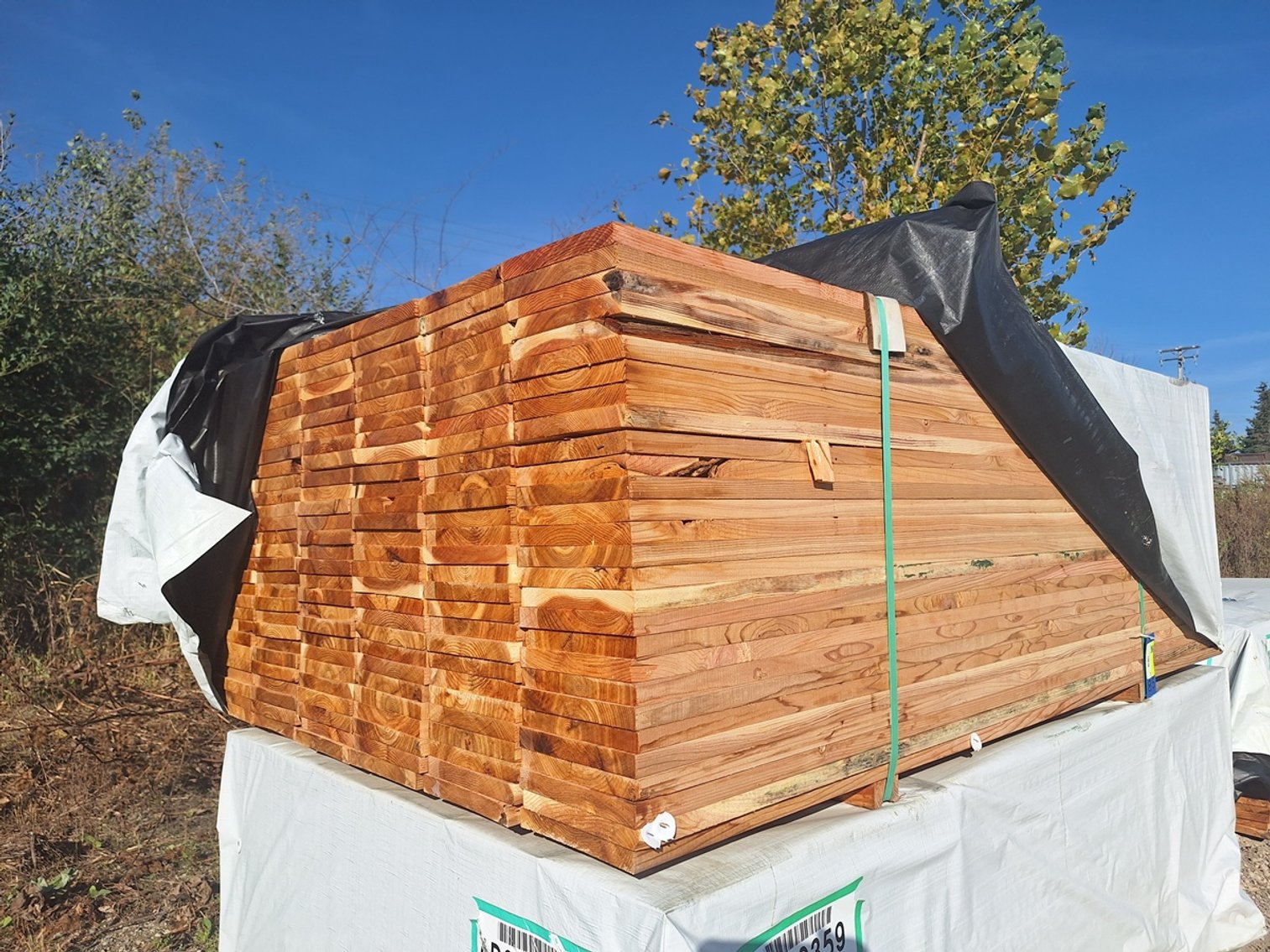 Image for Lumber