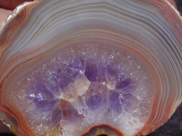 Image for Lapidary: Agates, Equipment, Fossils & More