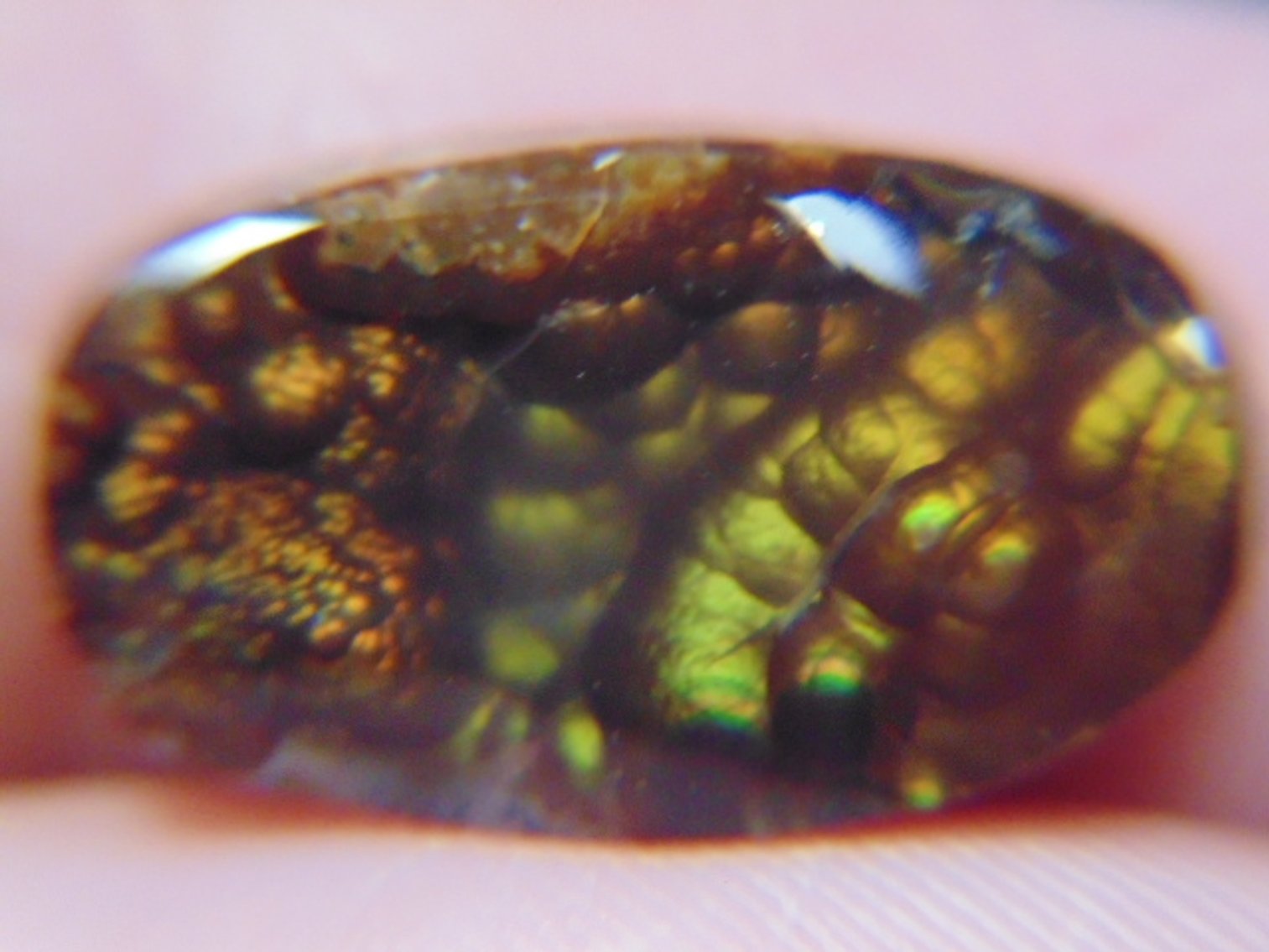 Image for Lapidary: Agates, Equipment, Fossils & More