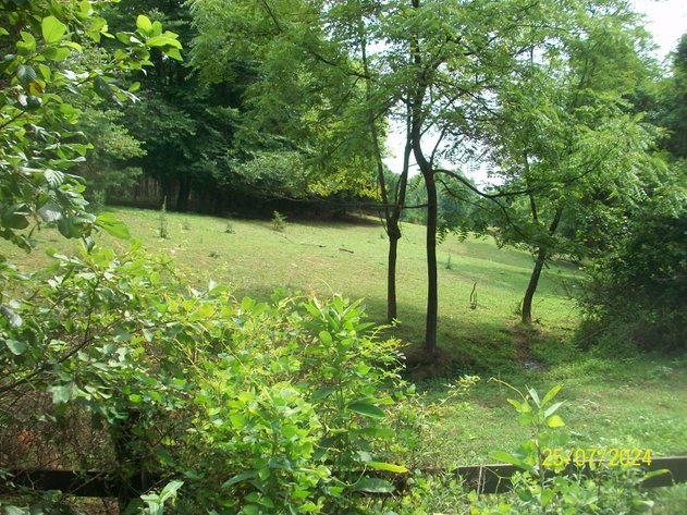 Image for ABSOLUTE TRUSTEE AUCTION - 2 TRACTS OF LAND - ALBEMARLE COUNTY