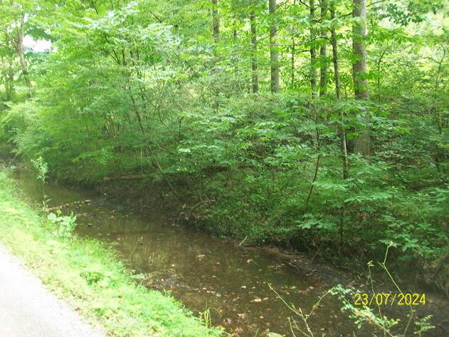 Image for ***CANCELLED*** ABSOLUTE TRUSTEE AUCTION - 140 ACRES AND A 1,956' HOUSE - SCOTT COUNTY, VA