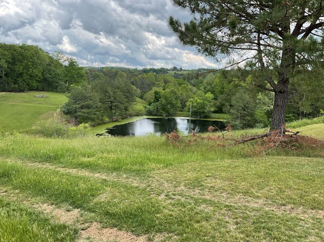 Image for BEAUTIFUL BEDFORD COUNTY FARM - 143 ACRES OFFERED IN 5 TRACTS