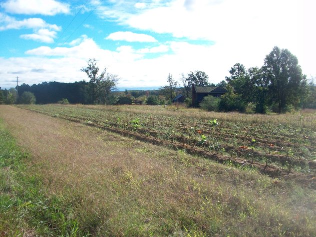 Image for ***CANCELLED*** ABSOLUTE TRUSTEE AUCTION - 4 TRACTS OF LAND - VIRGILINA VA