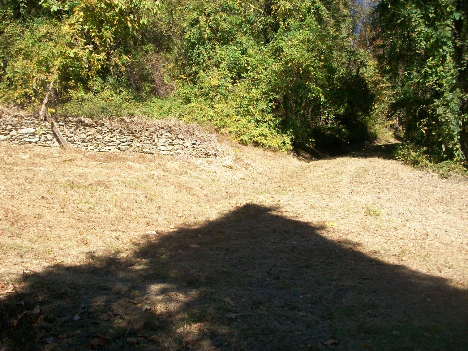 Image for 66.84 +/- ACRES FOR SALE IN NELSON COUNTY BELOW WINTERGREEN RESORT