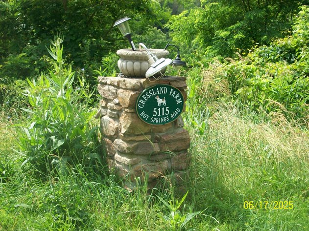 Image for ***CANCELLED***     ABSOLUTE TRUSTEE AUCTION - A HOUSE & OUT BUILDINGS ON 69.8 ACRES - 2 TRACTS OF LAND - COVINGTON VA