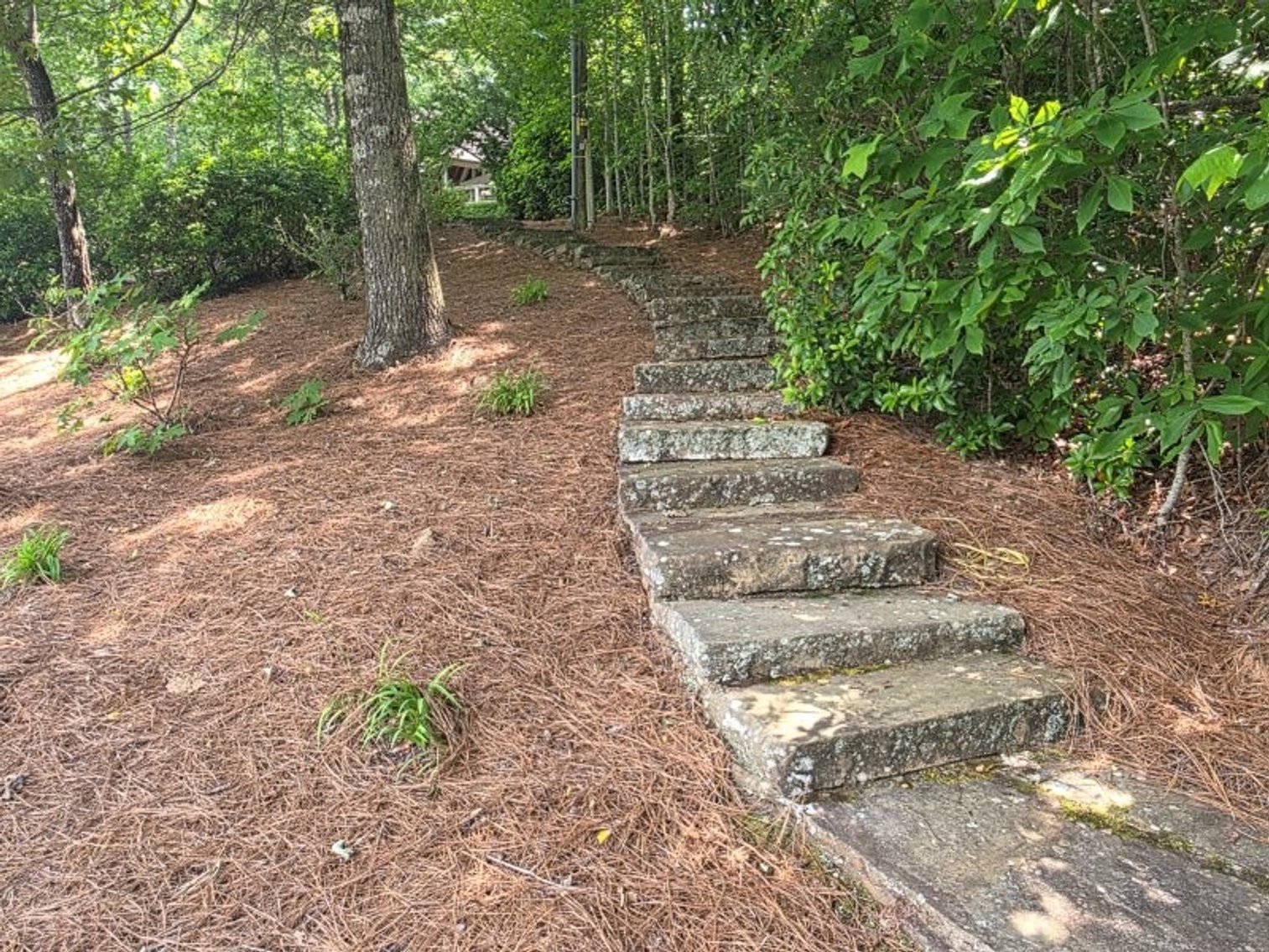 Image for Lake Burton Foreclosure Auction
