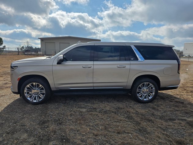 Image for Aston Martin, Escalade and Range Rovers!