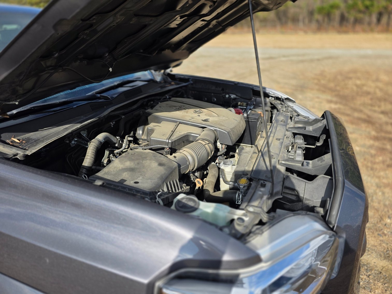 Image for 2017 Toyota Tacoma