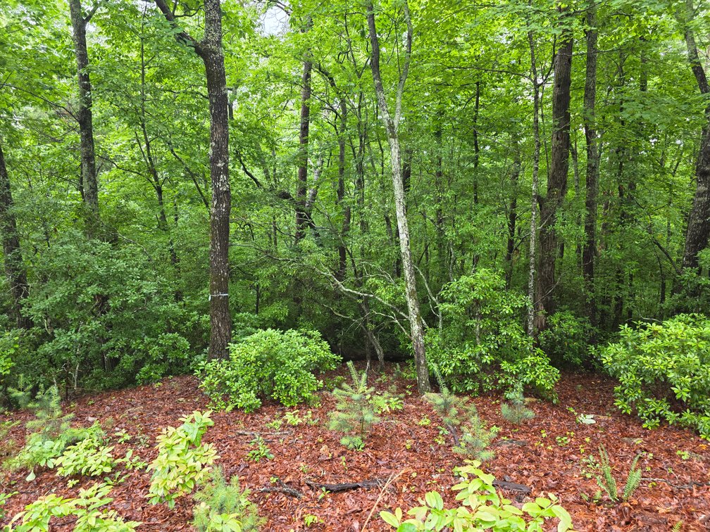 Image for Lot in Skylake Community