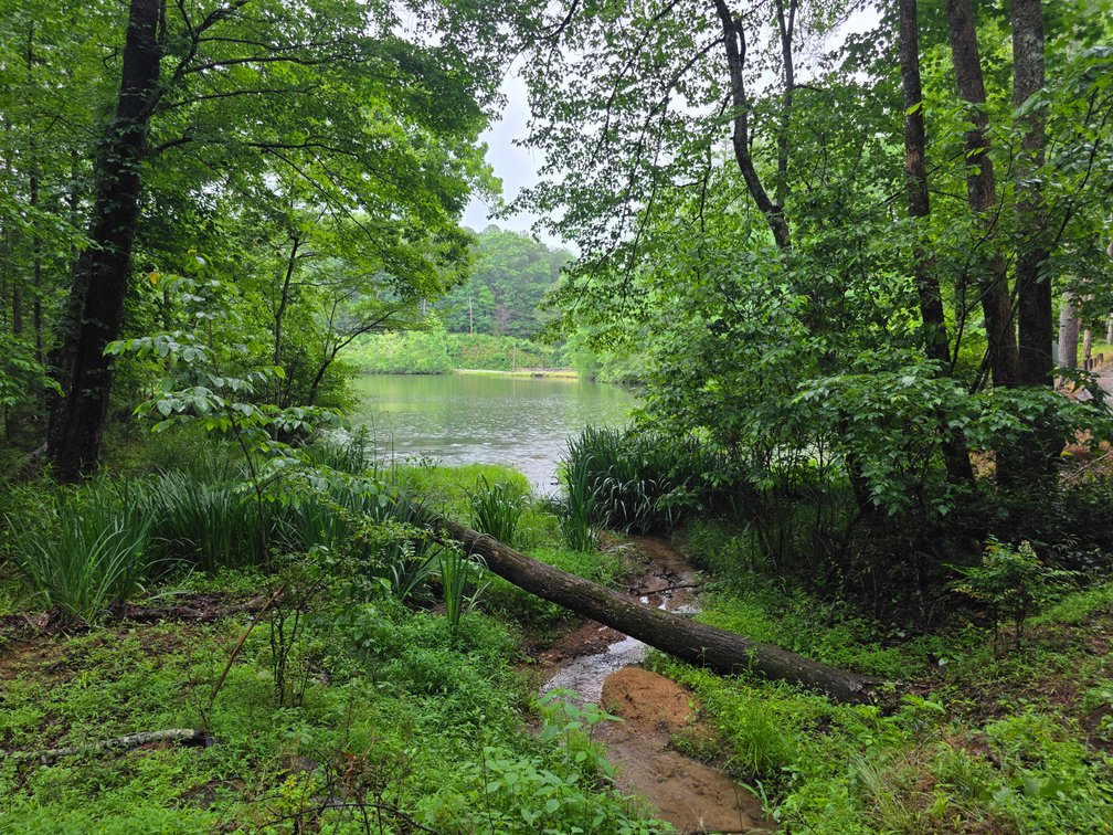 Image for Lot in Skylake Community