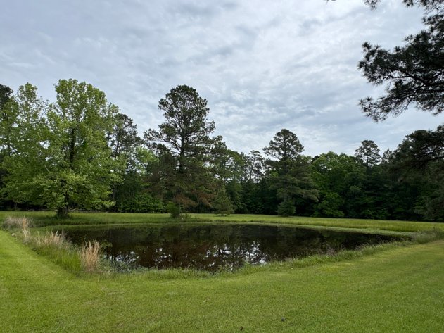 NO RESERVE 5± ACRE OUACHITA COUNTY ESTATE AUCTION – CAMDEN, AR