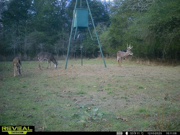 FAULKNER COUNTY HUNTING & RECREATIONAL LAND AUCTION – CONWAY, AR