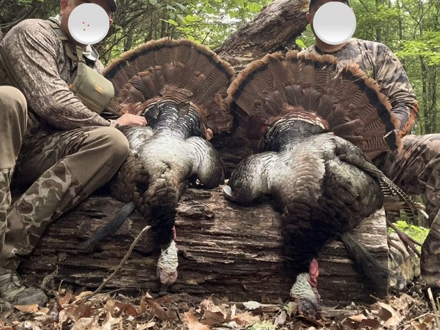 FAULKNER COUNTY HUNTING & RECREATIONAL LAND AUCTION – CONWAY, AR