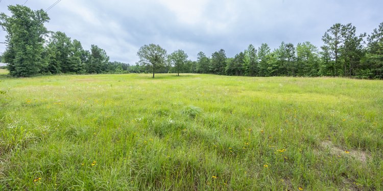 NO RESERVE 10± ACRE HOME, CHURCH & LAND AUCTION – MAGNOLIA, AR