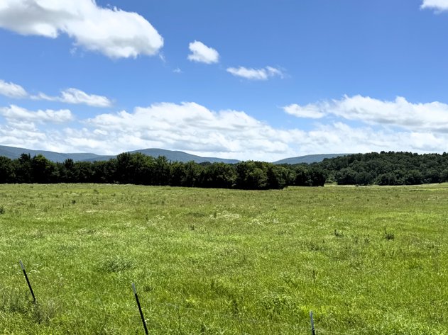 190± ACRE SEBASTIAN COUNTY NO RESERVE CATTLE FARM AUCTION – HARTFORD, AR
