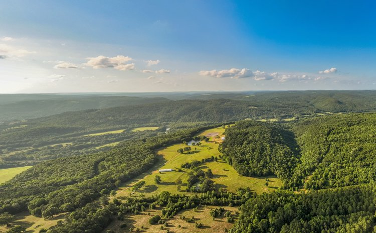 NO RESERVE BUFFALO HUMP RANCH 1,330± ACRE AUCTION – SHIRLEY, AR