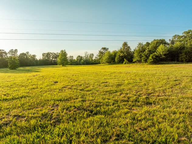 NO RESERVE BUFFALO HUMP RANCH 1,330± ACRE AUCTION – SHIRLEY, AR