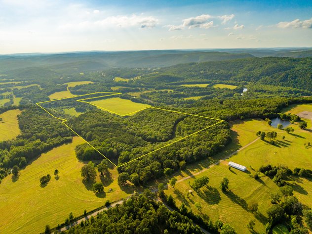 NO RESERVE BUFFALO HUMP RANCH 1,330± ACRE AUCTION – SHIRLEY, AR