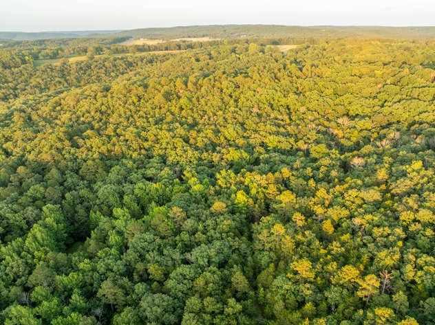 NO RESERVE LAND AUCTION | SHIRLEY, AR