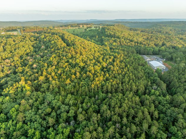 NO RESERVE LAND AUCTION | SHIRLEY, AR