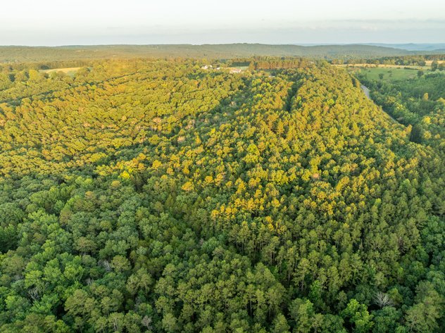 NO RESERVE LAND AUCTION | SHIRLEY, AR