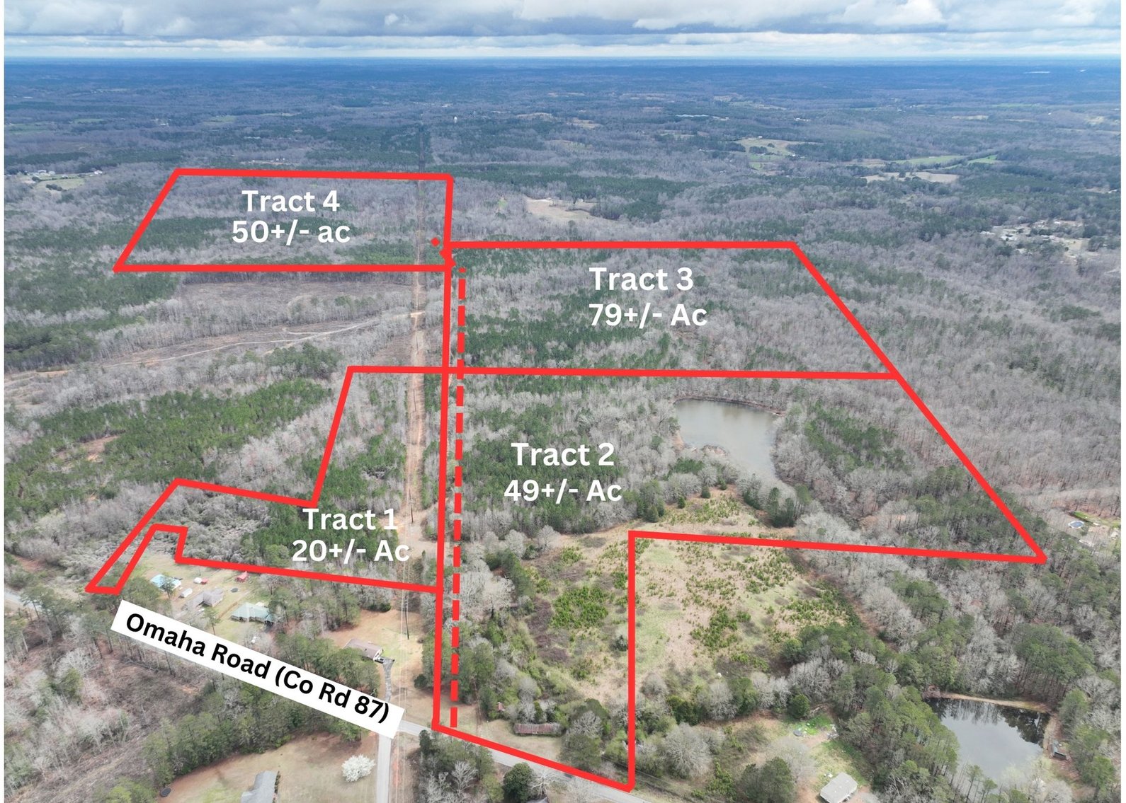 Image for Prime Land Auction - Randolph County, AL: 200± Acres divided in 4 Tracts on CR 87 | Two Commercial Lots on US 431 in Roanoke