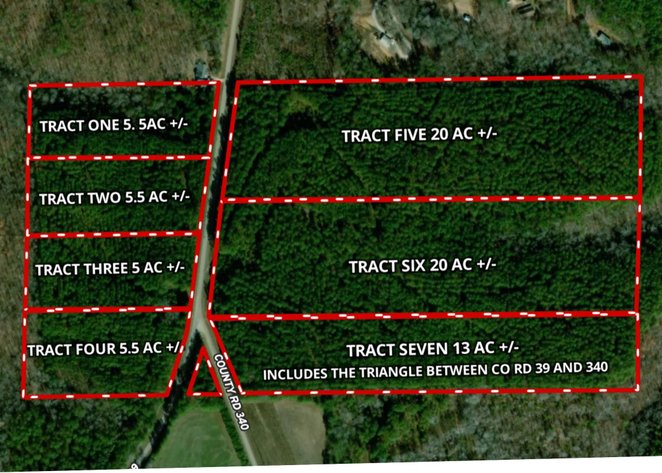 Image for 75+/- Acres in Woodland, Alabama - Offered in 7 Individual Tracts