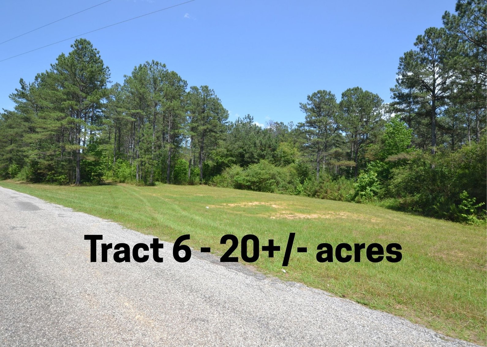 Image for 75+/- Acres in Woodland, Alabama - Offered in 7 Individual Tracts