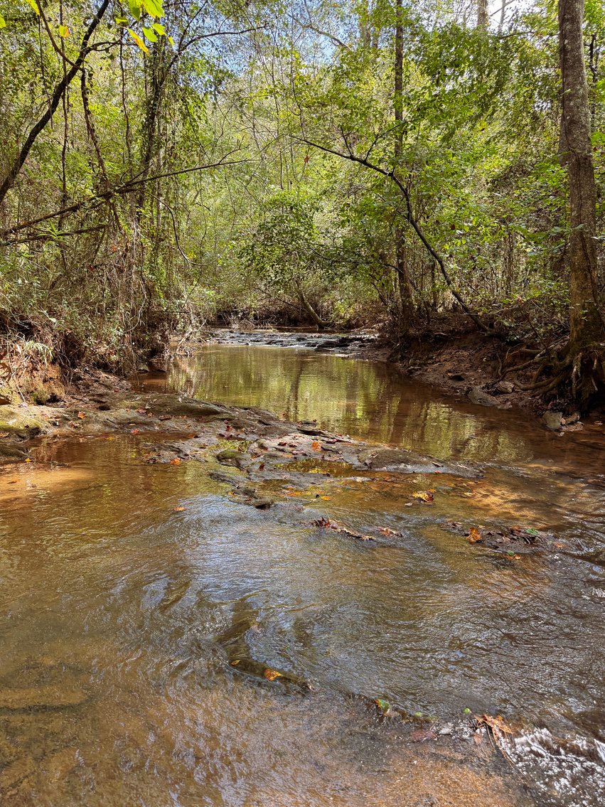 Image for Wedowee Creek Farm | 40+/- Acres Divided in 3 Tracts | 1000 +/-ft Creek Frontage | Turn-Key Homestead