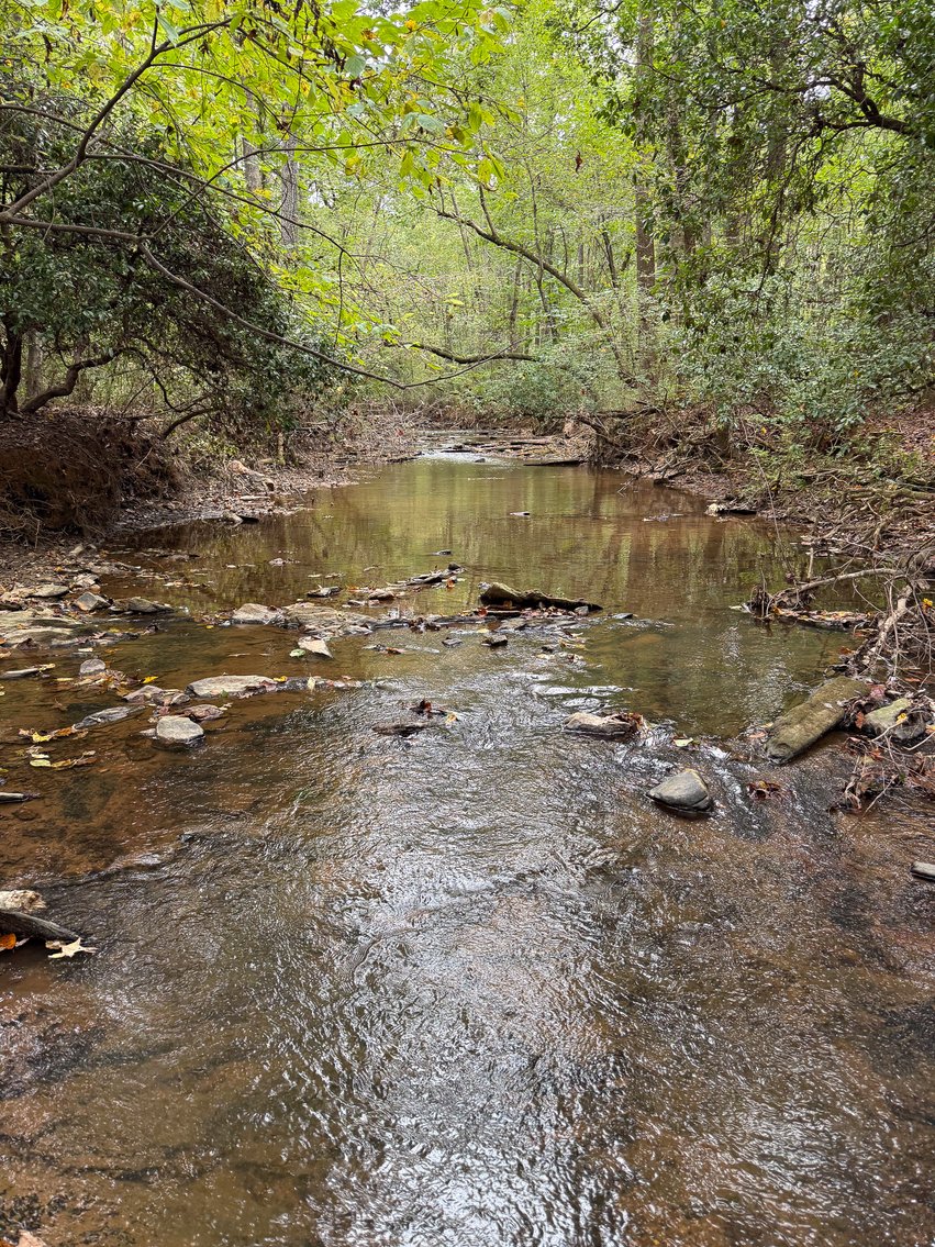 Image for Wedowee Creek Farm | 40+/- Acres Divided in 3 Tracts | 1000 +/-ft Creek Frontage | Turn-Key Homestead