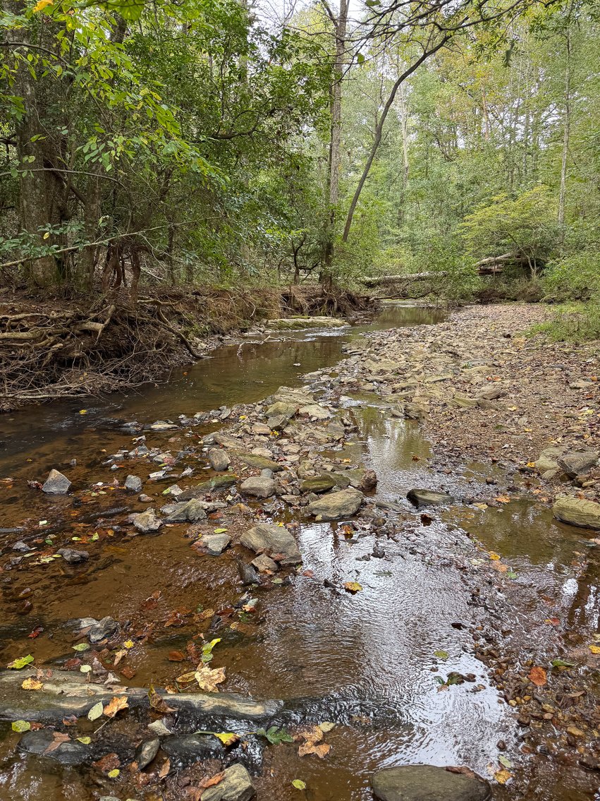 Image for Wedowee Creek Farm | 40+/- Acres Divided in 3 Tracts | 1000 +/-ft Creek Frontage | Turn-Key Homestead