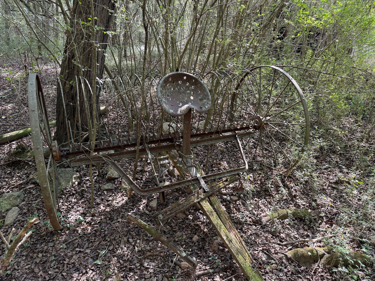 Image for Wedowee Creek Farm | 40+/- Acres Divided in 3 Tracts | 1000 +/-ft Creek Frontage | Turn-Key Homestead