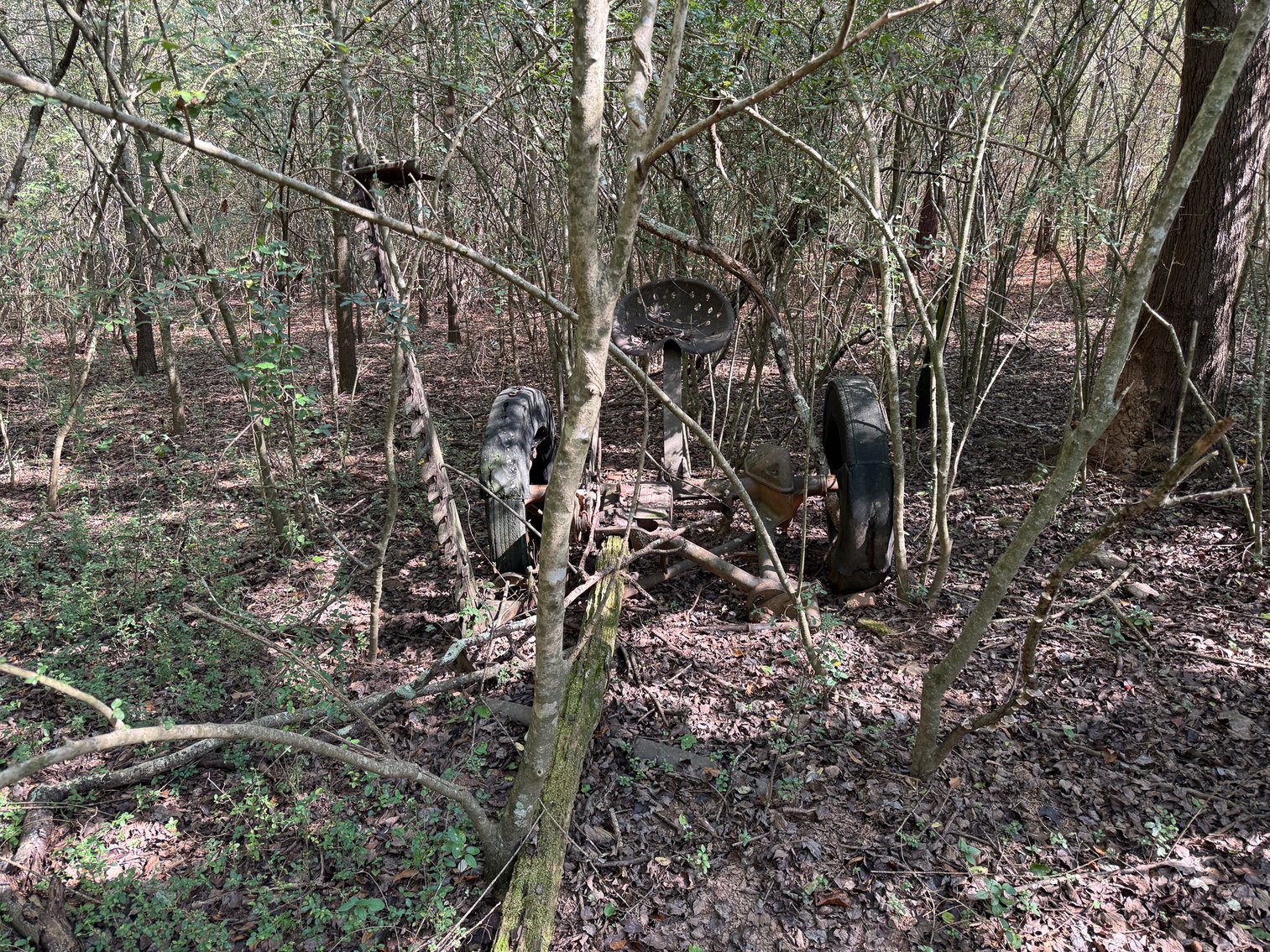 Image for Wedowee Creek Farm | 40+/- Acres Divided in 3 Tracts | 1000 +/-ft Creek Frontage | Turn-Key Homestead