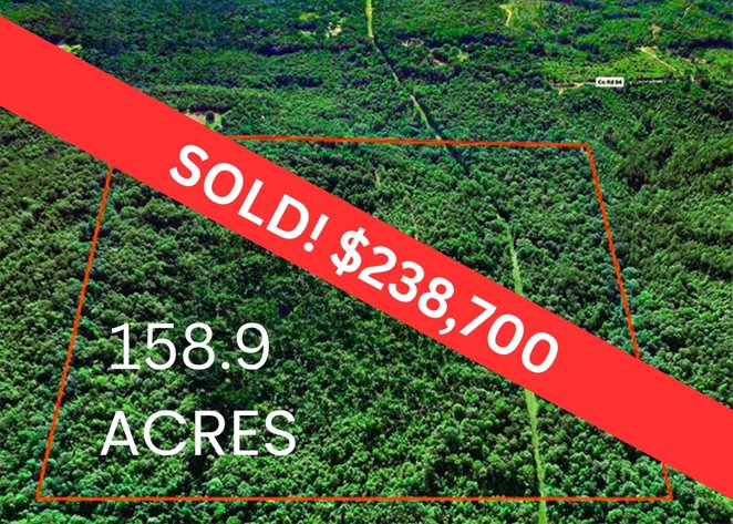 Image for 158.9 Acres Public Land Auction Dallas County, Alabama