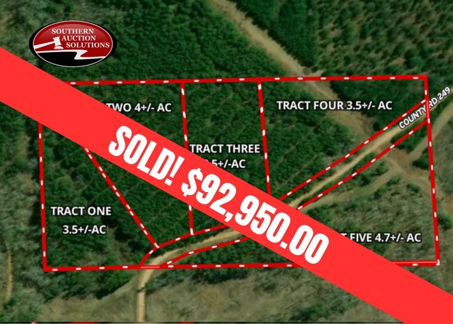 Image for AUCTION 19 ACRES+/- Unrestricted Land | 5 Tracts or Whole | Randolph County AL