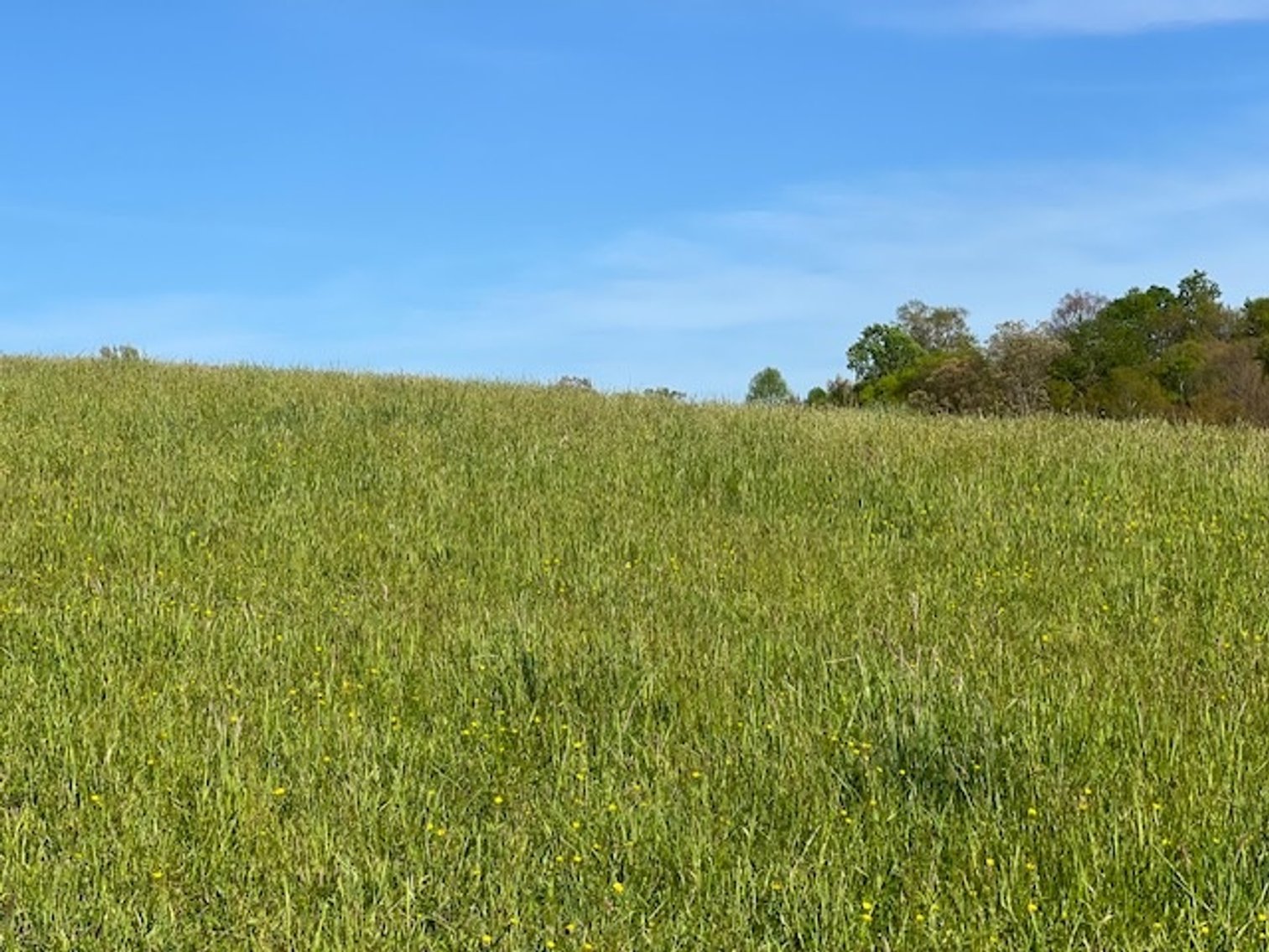 Image for 11722 ROCKY HILL ROAD  BRISTOL, VA 24202