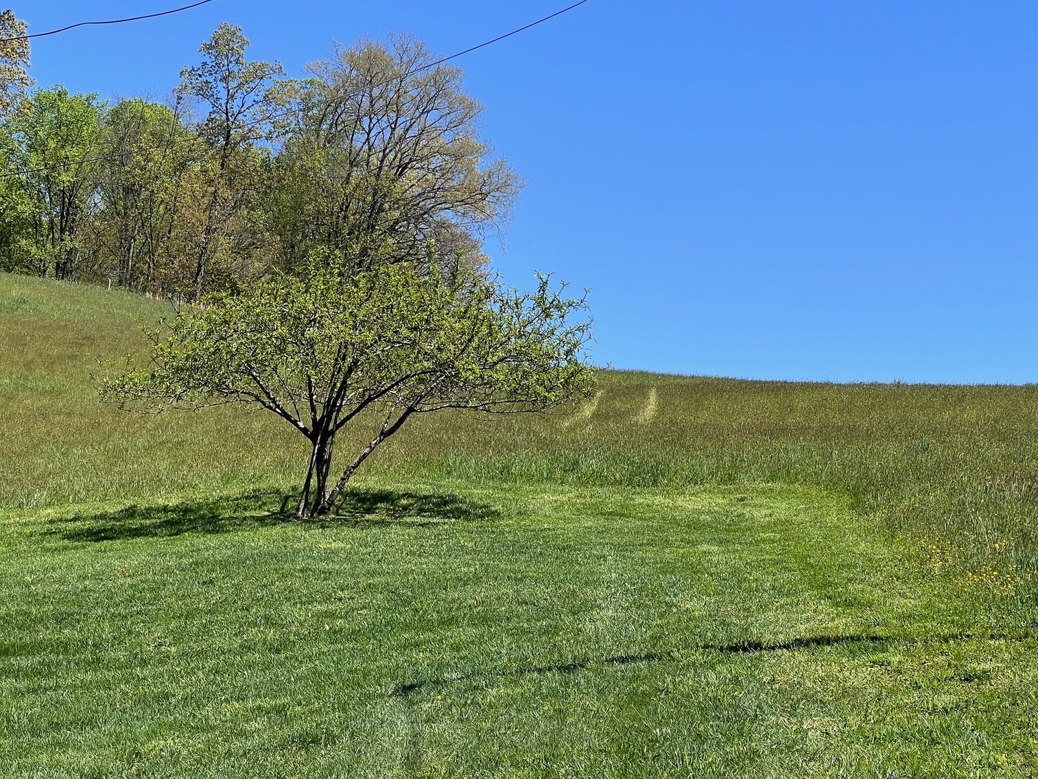 Image for 11722 ROCKY HILL ROAD  BRISTOL, VA 24202