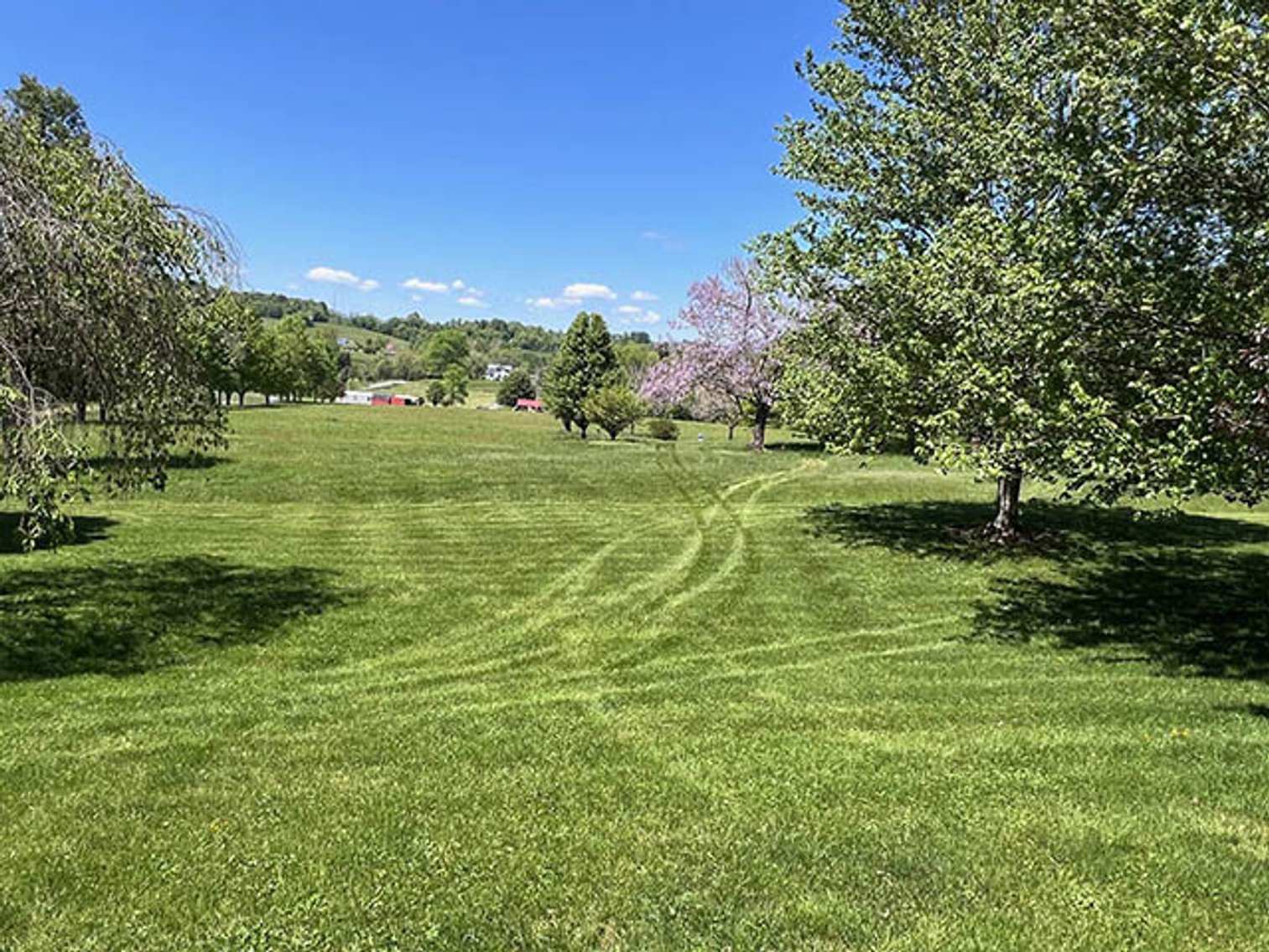 Image for  14441 PRESTON FULLER DRIVE  MEADOWVIEW, VA 24361