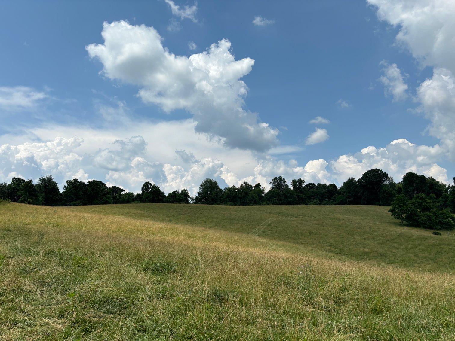 Image for STONYBROOK RD.  MEADOWVIEW, VA