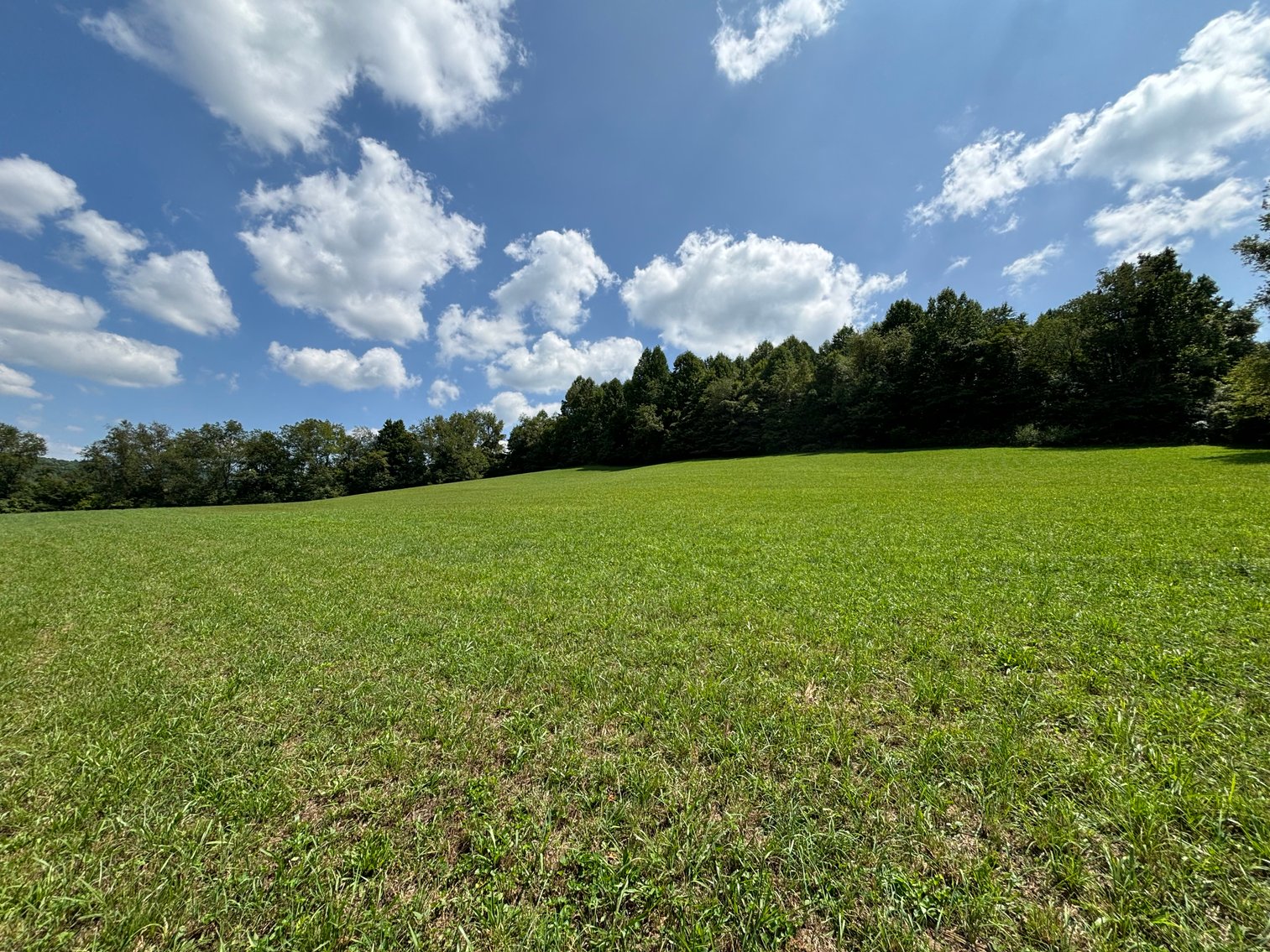 Image for 4530 GATE CITY HIGHWAY  Bristol, VA 24202