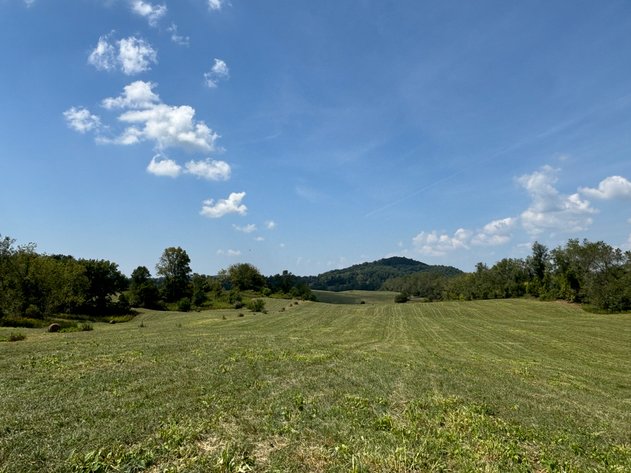 CEDAR CREEK ROAD  MEADOWVIEW, VA 24361