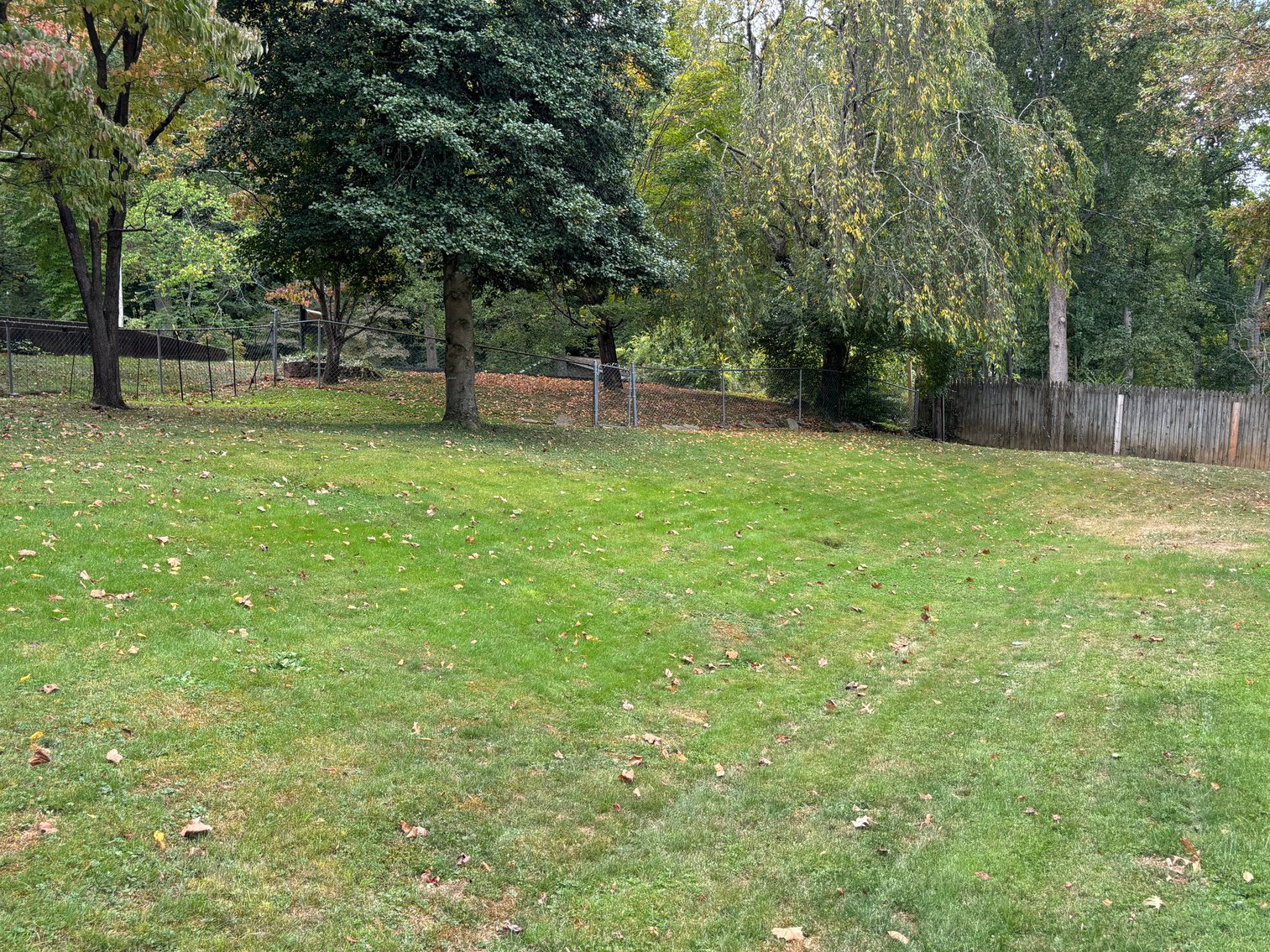 Image for 209 SUNRISE ST.  BRISTOL, VA 24201