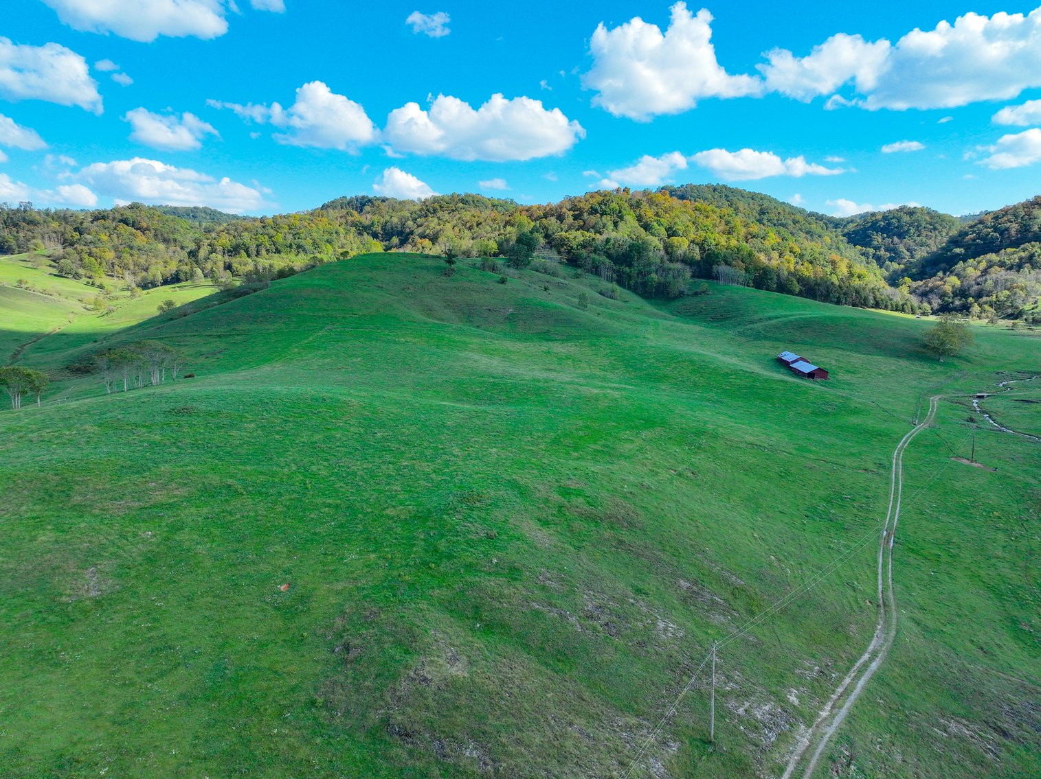 Image for SEVEN SPRINGS HOLLOW ROAD  CASTLEWOOD, VA 24224