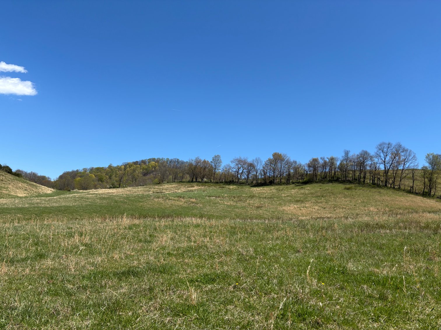 Image for RICH VALLEY ROAD / RTE. 700  ABINGDON, VIRGINIA