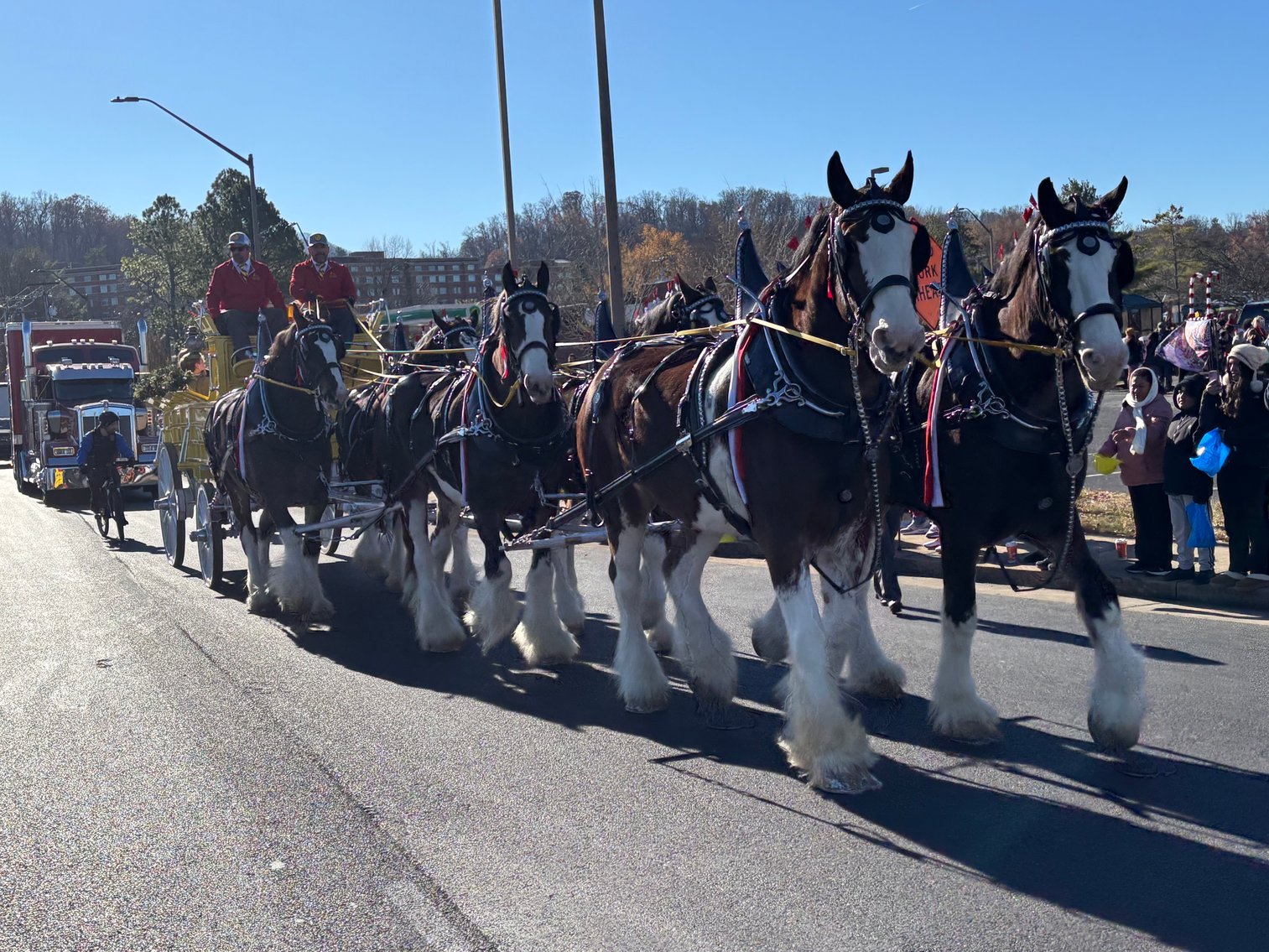 Image for The Auction Clydesdales will be @ the Olde Glade tractor show.