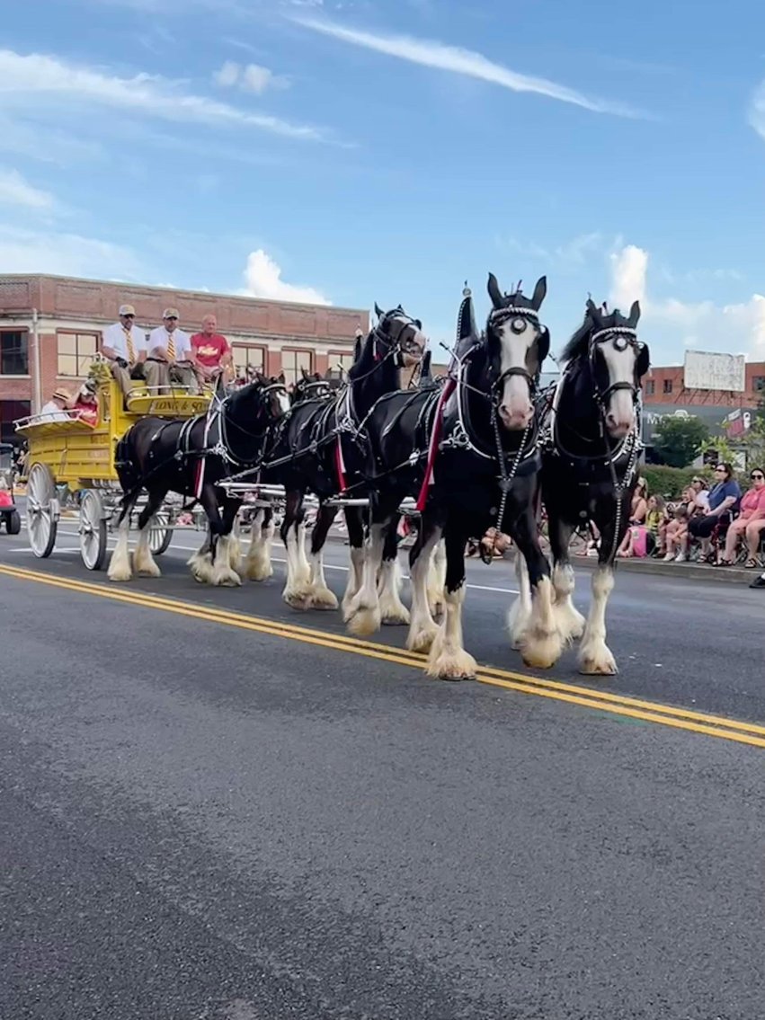 Image for The Auction Clydesdales will be @ the Olde Glade tractor show.